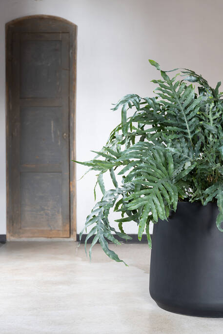 Pottery Pots - Bloempot Patt M, Zwart
