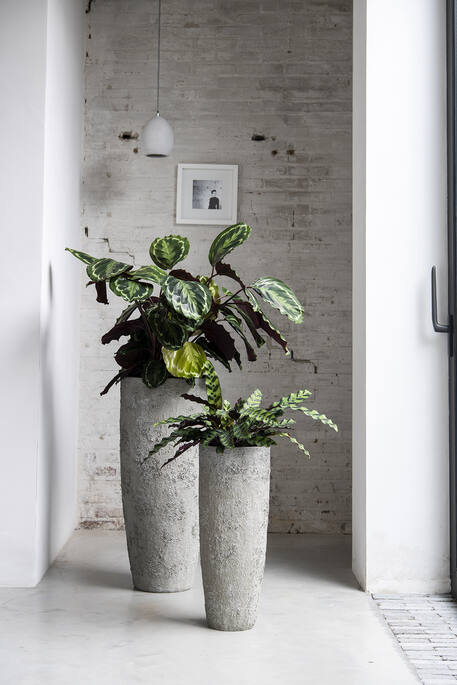 Pottery Pots - Bloempot Dax L, Imperial Wit
