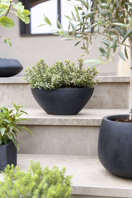 Pottery Pots - Bloempot Dorant XS, Zwart