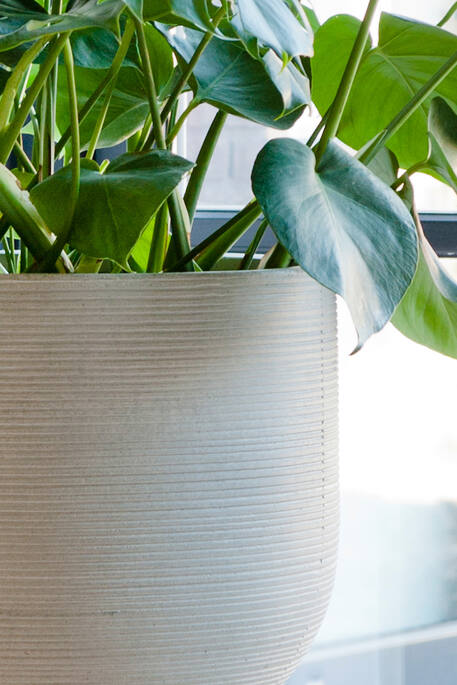 Pottery Pots - Bloempot Cody M, Lichtgrijs