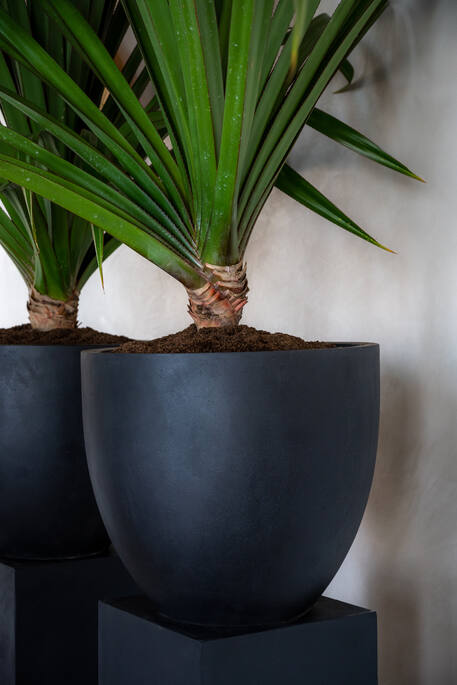 Pottery Pots - Bloempot Jesslyn XS, Zwart