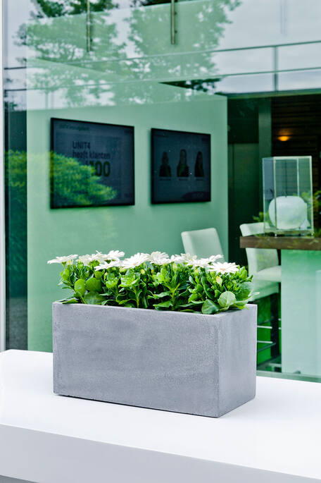 Balcony XL, Grey