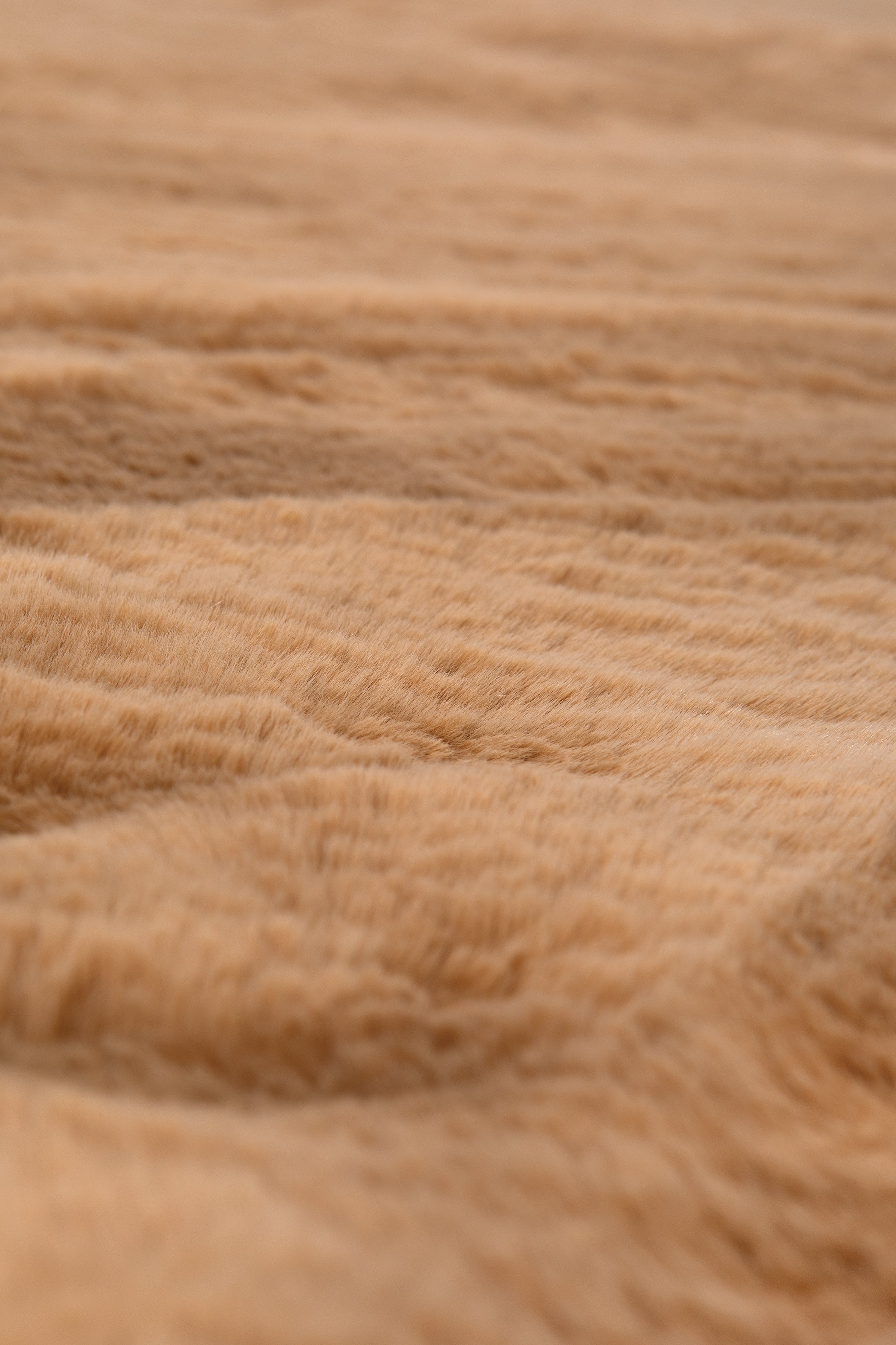 Tapis Eddy Camel 160 X 230