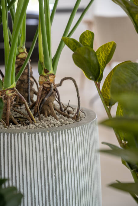 Pottery Pots - Bloempot Perry S, Wit Gestreept