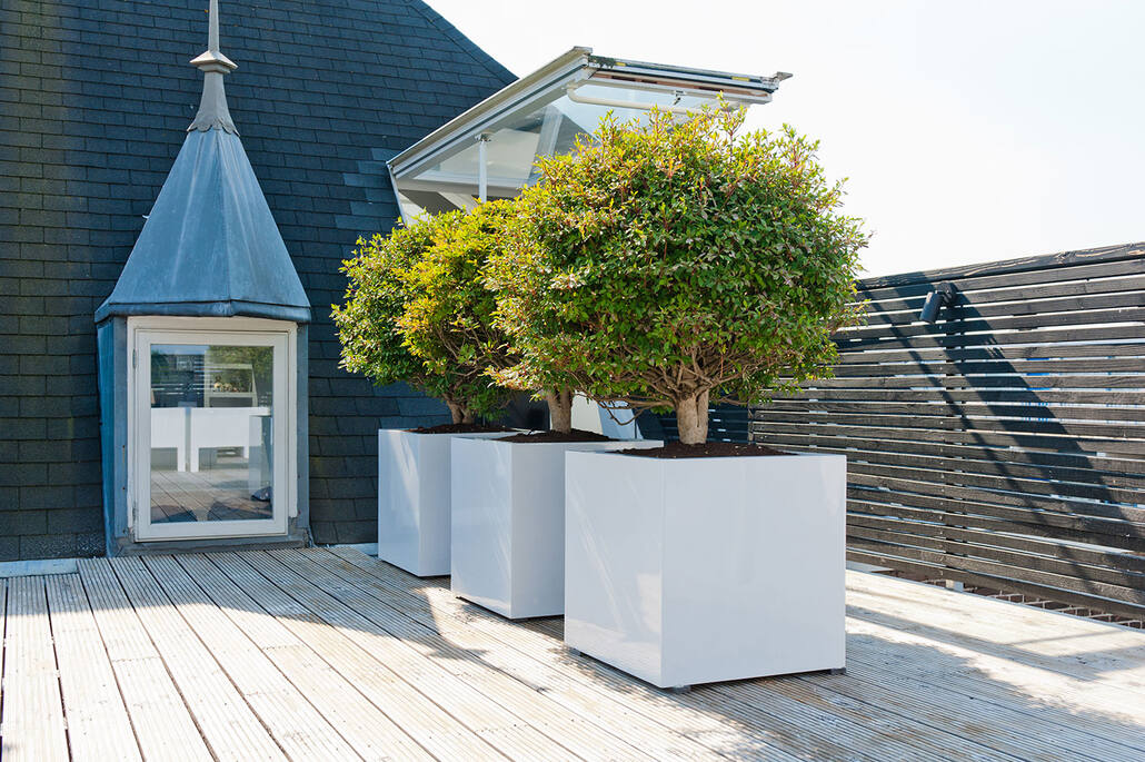 Block L, Glossy White