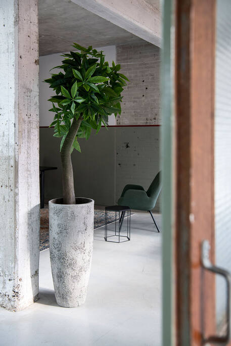 Pottery Pots - Bloempot Dax L, Imperial Wit