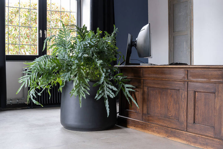 Pottery Pots - Bloempot Patt M, Zwart