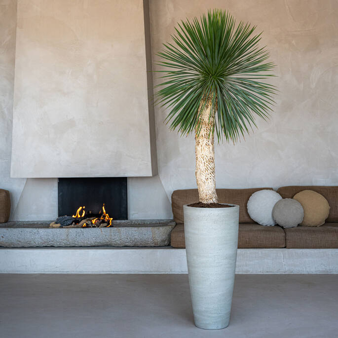 Pottery Pots - Bloempot Dax L, Beige Washed