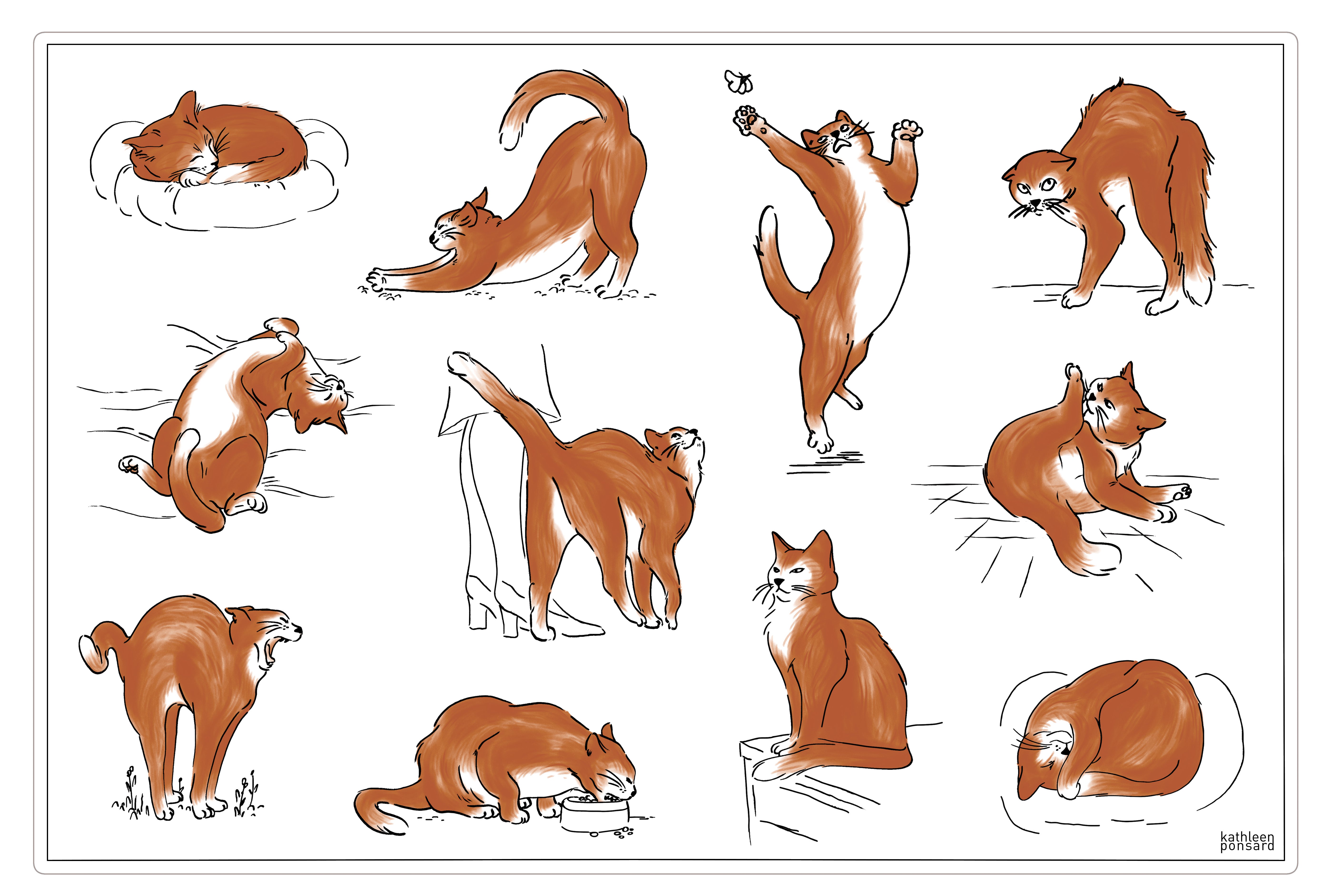 Placematset Journée du chat Assortis 30 X 45