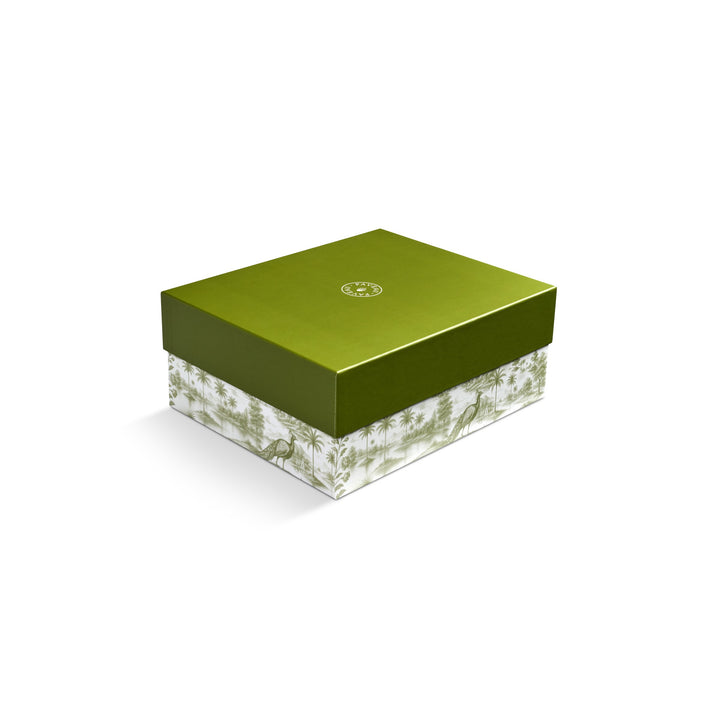 Paveau - Swirl geschenkset 1 fles medium + 2 tumblers - Moss