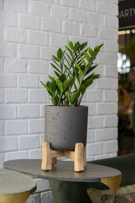 Pottery Pots - Bloempot Charlie L (Feet Low), Zwart Washed