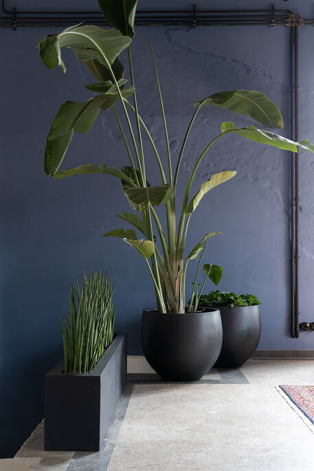 Pottery Pots - Bloempot Orb L, Zwart