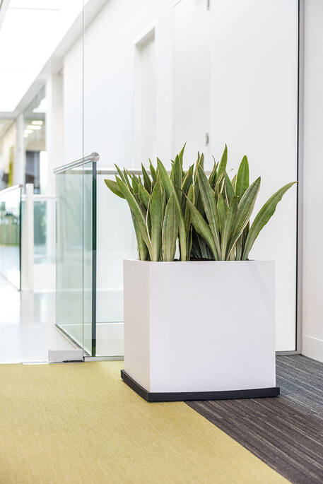 Block M, Matte White