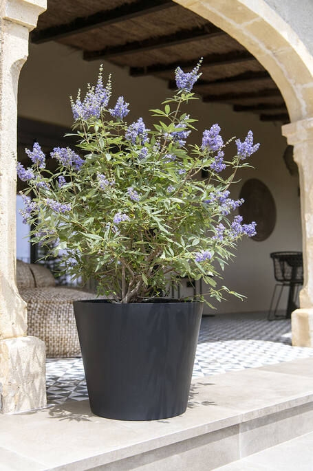 Bucket M, Black