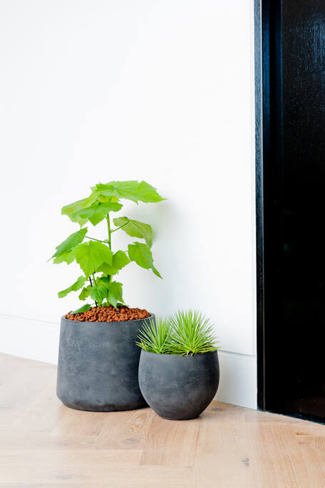 Pottery Pots - Bloempot Mini Orb XL, Zwart Washed