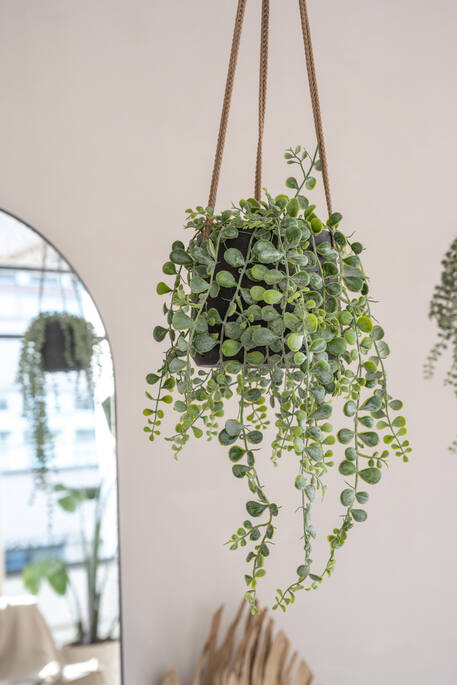 Pottery Pots - Bloempot Patt S (hanging) Black Washed, Zwart Washed