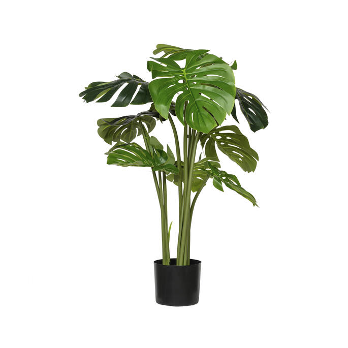 Pottery Pots - Nepplanten Monstera L, Groen