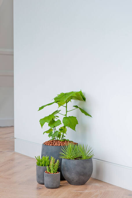 Pottery Pots - Bloempot Charlie M, Zwart Washed