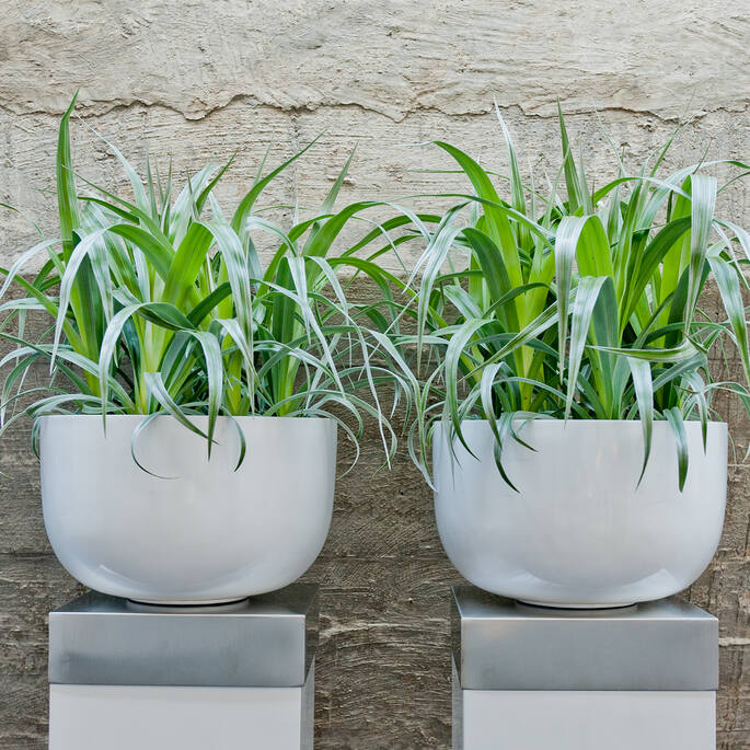 Pottery Pots - Bloempot Sunny L, Hoogglans Wit