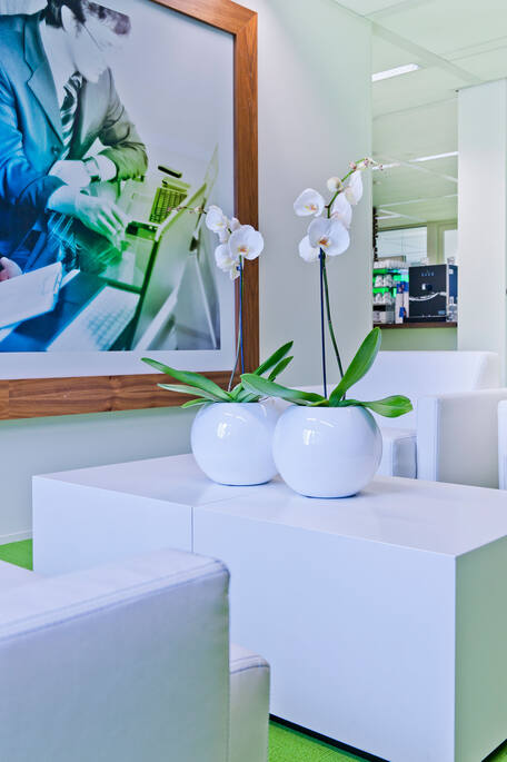 Beth S, Glossy White