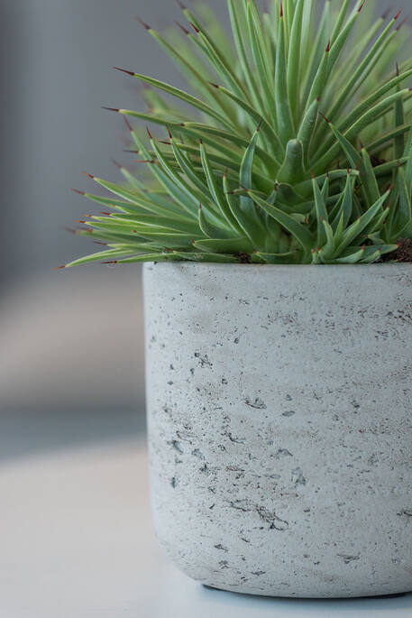 Pottery Pots - Bloempot Charlie XXS, Grijs Washed