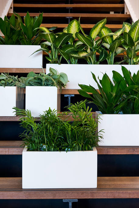 Balcony XS, Matte White