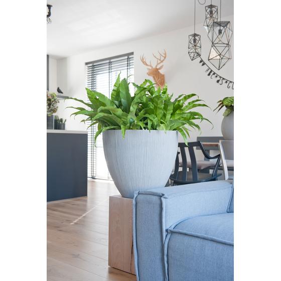 Jesslyn S, Light Grey (vert. ridg.)