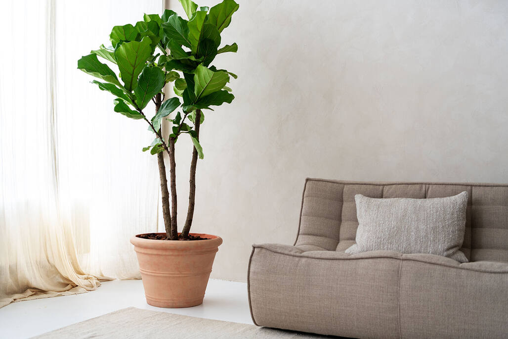 Pottery Pots - Bloempot Kyra L, Baksteenoranje