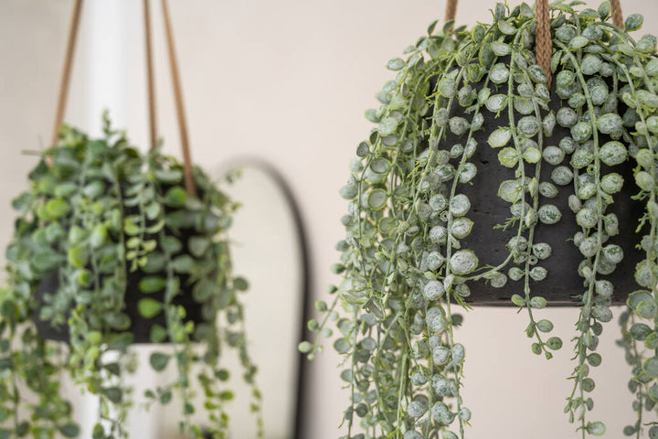 Pottery Pots - Bloempot Patt L (hanging) Black Washed, Zwart Washed