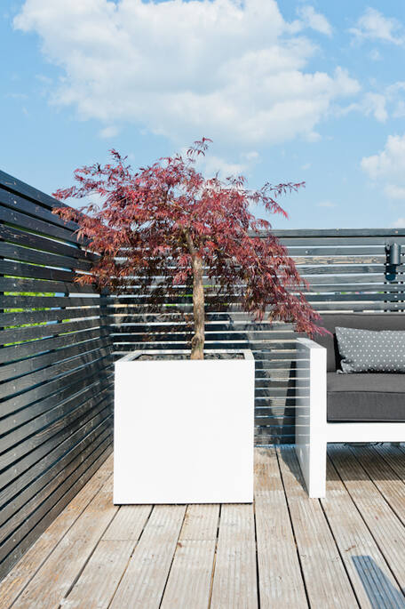 Block XXL, Glossy White