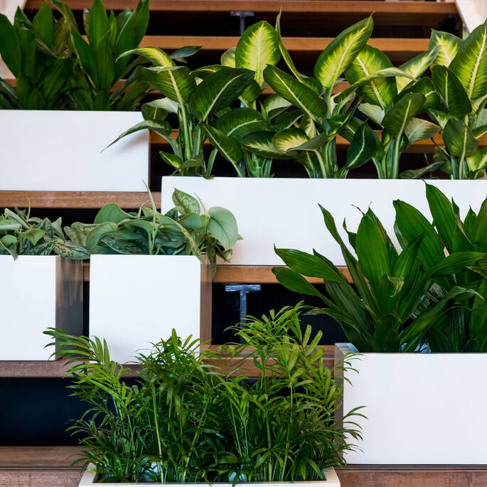 Balcony XL, Matte White