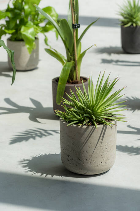 Pottery Pots - Bloempot Charlie XXXS, Grijs Washed