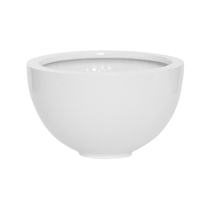 Peter S, Glossy White