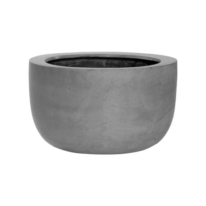 Sunny M, Grey