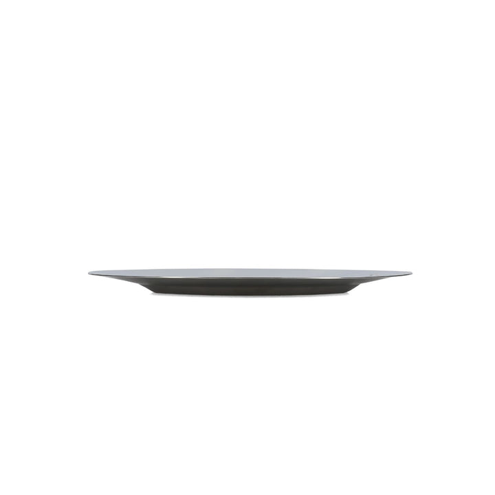 Salt &amp; Pepper - Plat bord 30/18cm chrome Oryn