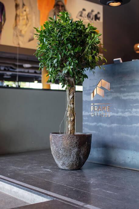 Pottery Pots - Bloempot Jesslyn XL, Imperial Bruin