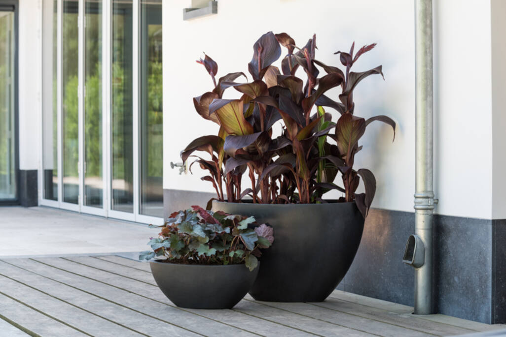 Pottery Pots - Bloempot Dorant M, Zwart