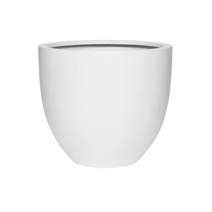 Jesslyn M, Matte White