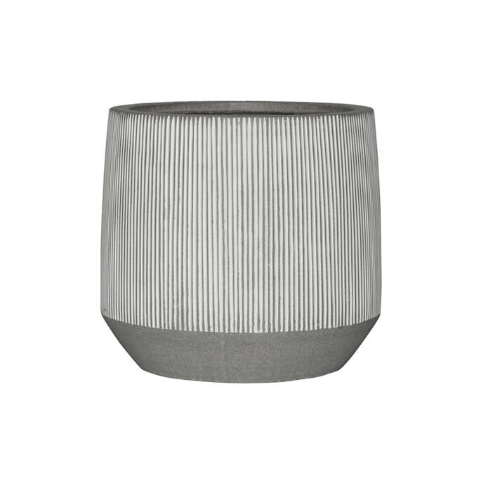 Harith L, White stripe
