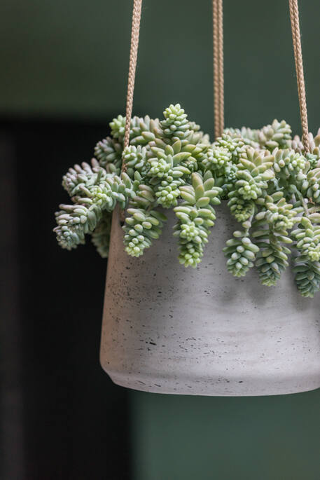 Pottery Pots - Bloempot Patt M (hanging) Grey Washed, Grijs Washed
