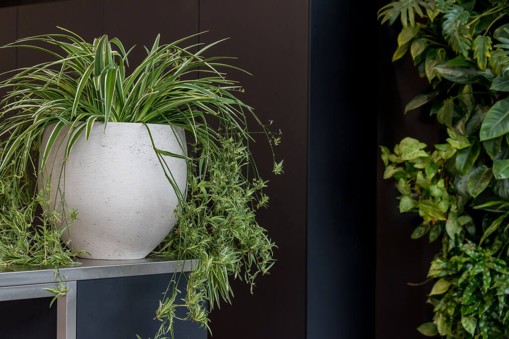Pottery Pots - Bloempot Mini Orb M, Grijs Washed
