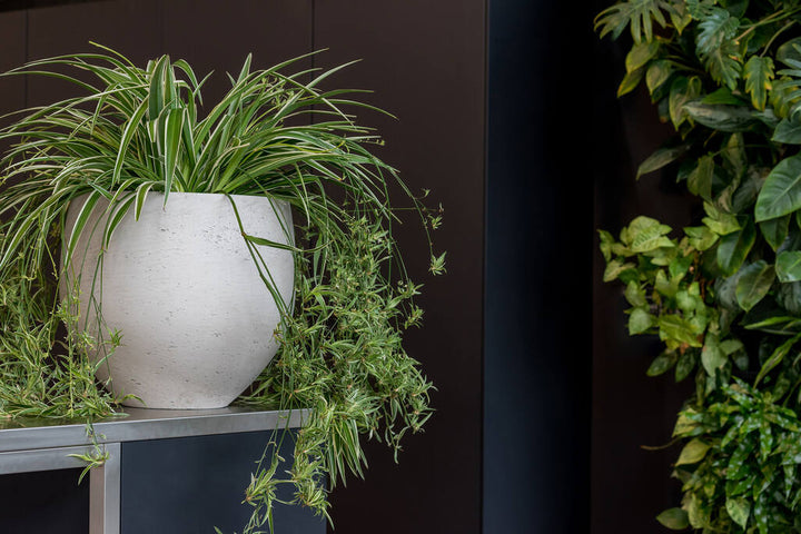 Pottery Pots - Bloempot Mini Orb M, Grijs Washed