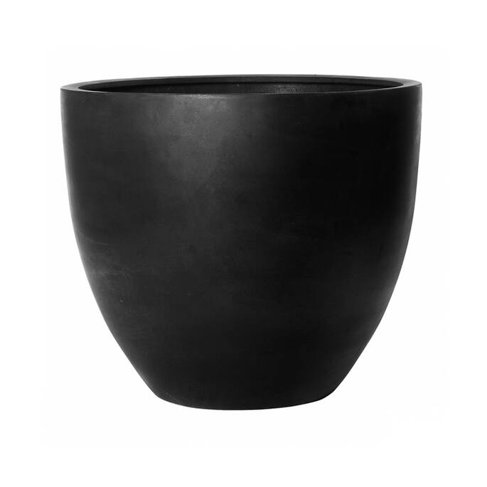 Jumbo Jesslyn M, Black