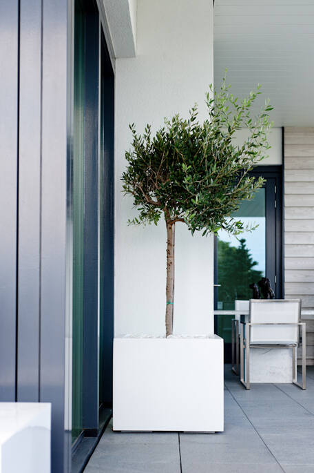 Block XXL, Glossy White