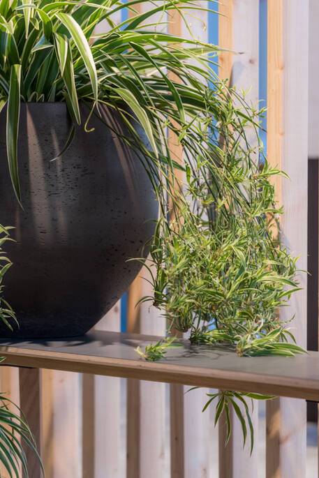 Pottery Pots - Bloempot Mini Orb L, Zwart Washed