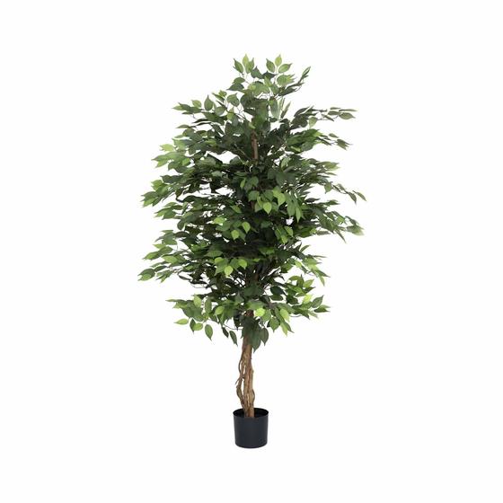 Pottery Pots - Nepplanten Ficus tree L, Groen