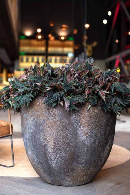 Pottery Pots - Bloempot Jesslyn XL, Imperial Bruin