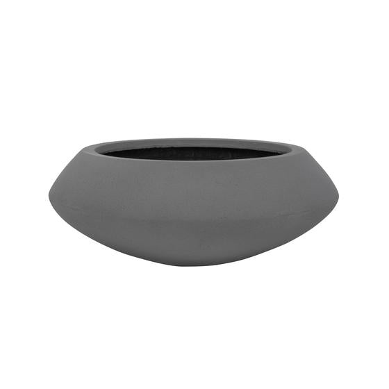 Tara S, Grey
