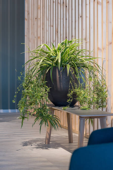 Pottery Pots - Bloempot Orb M, Zwart Washed