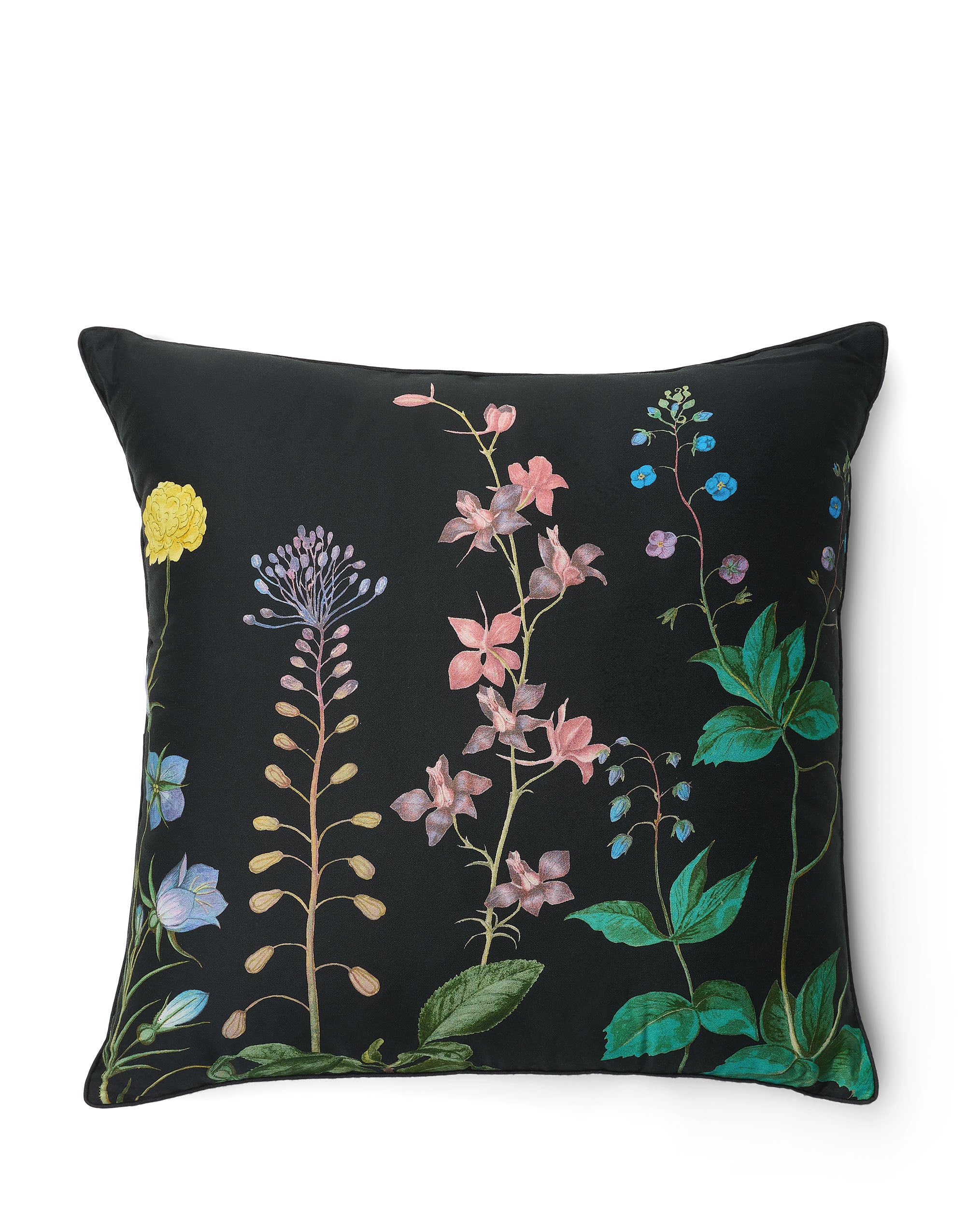 Augustina Sierkussen - 50x50